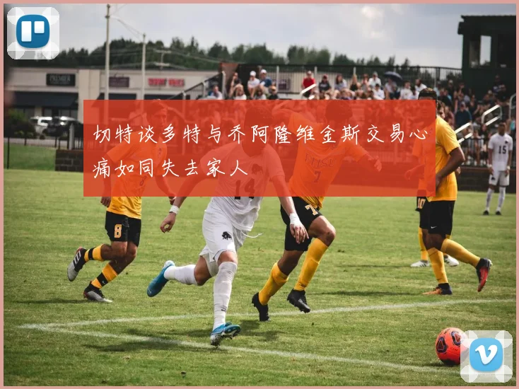 切特谈多特与乔阿隆维金斯交易心痛如同失去家人